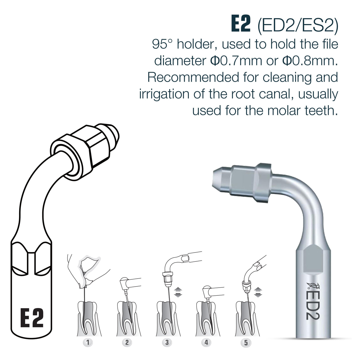 🎁 DTE Compatible Endo Scaler Tips ED-Series (100% off)