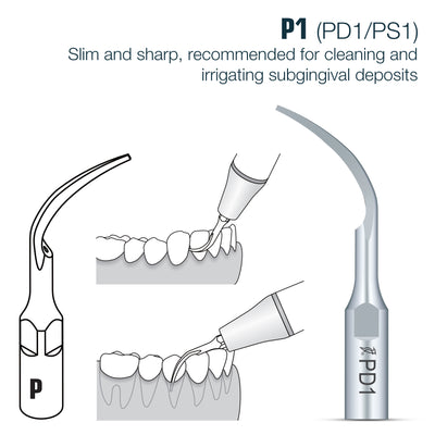 Perio Scaler Tips DTE/ SATELEC Compatible (PD) (9613327499539)