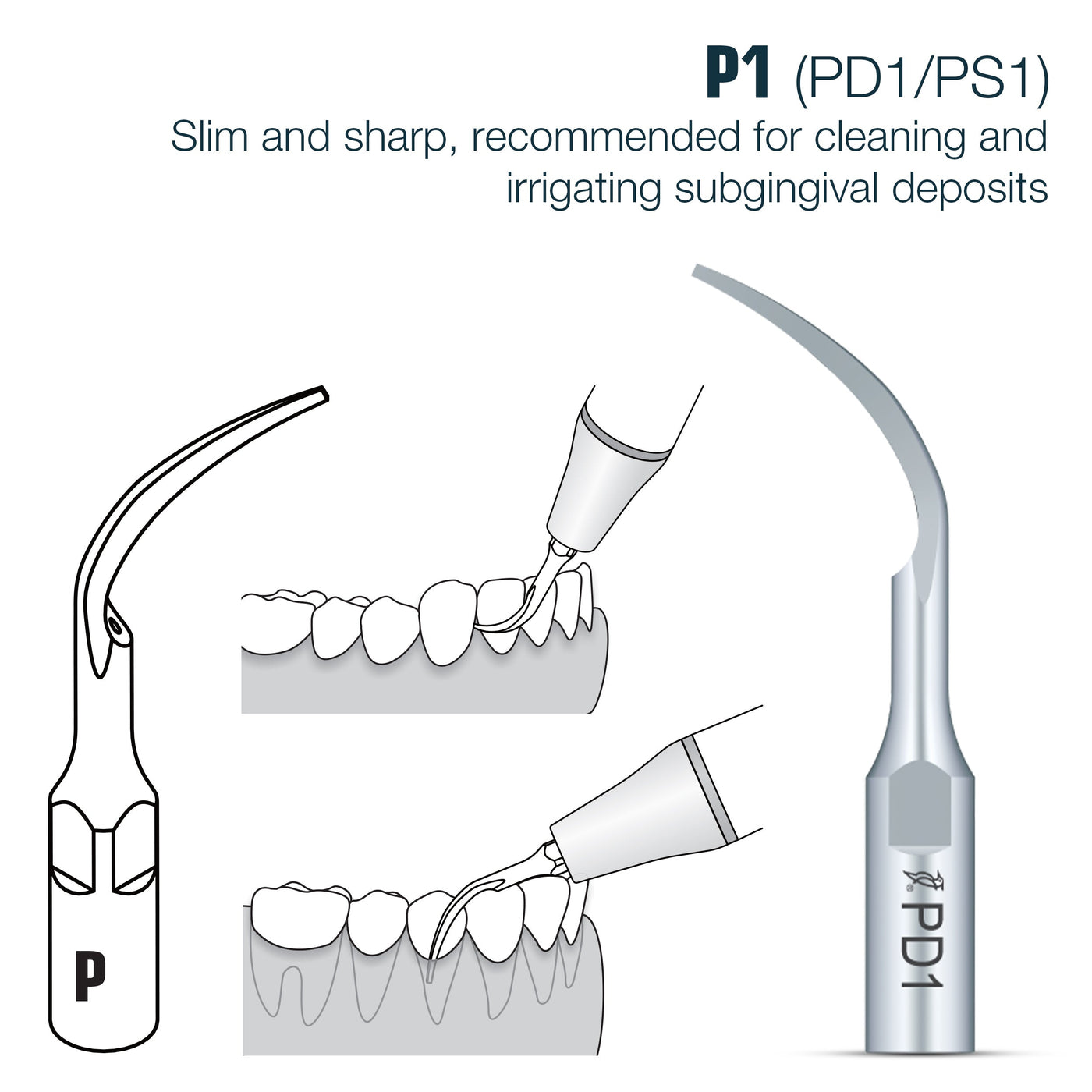🎁 DTE Compatible Perio Scaler Tips PD Series (100% off)